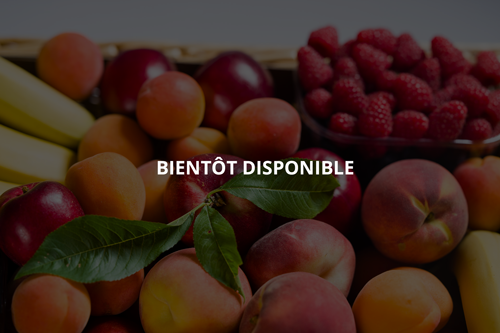 Photo d'annonce du prochain produits Minute Fruitée